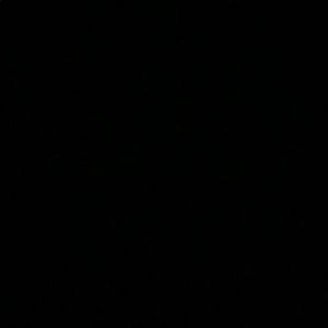 Meet your Posher, Kylee